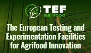 agrifoodtef 1740755771568